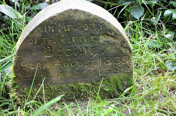 Rabbit headstone 2025