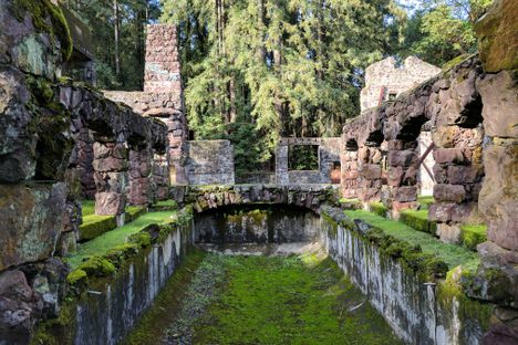 Reflection Pool