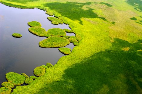 Sudd wetland