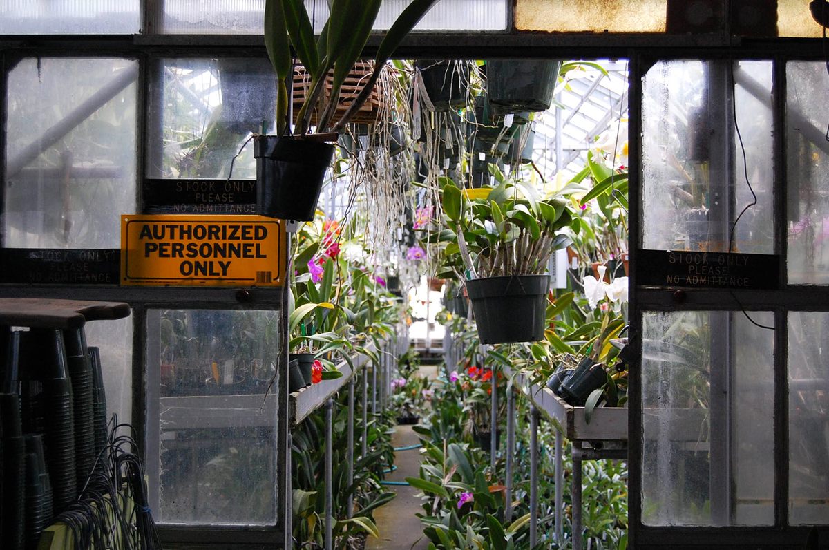 Some Waldor greenhouses are off-limits to customers.