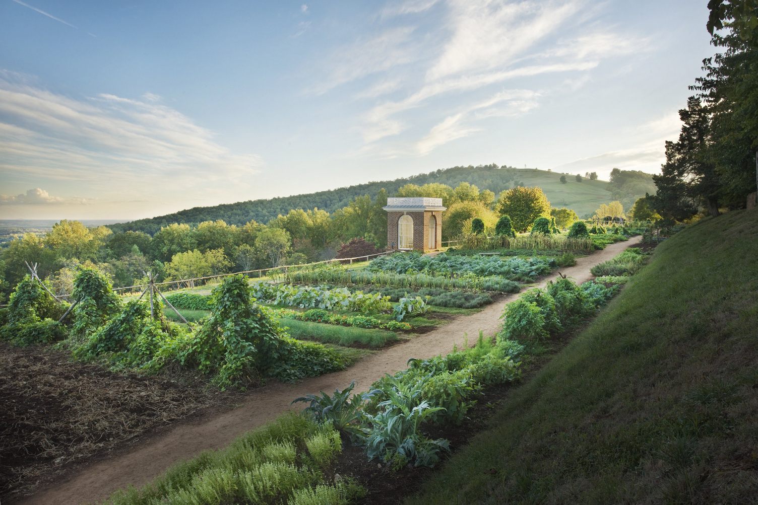 at-monticello-thomas-jefferson-s-garden-is-still-growing