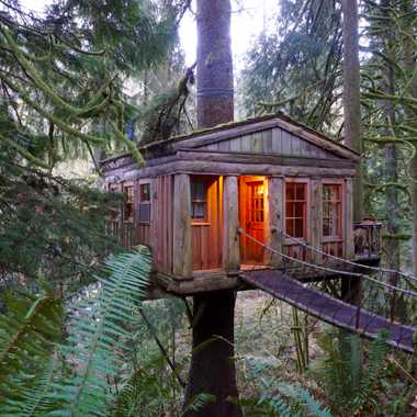Treehouse Point.