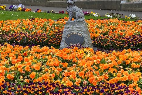 Greyfriars Bobby