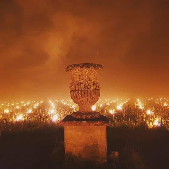 Another vineyard, further to the south in Tuscany, has employed the same tactic.