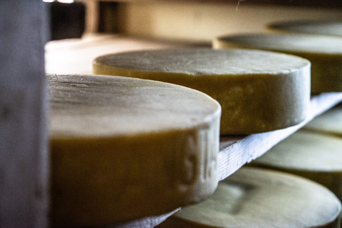 Yak cheese, maturing away.