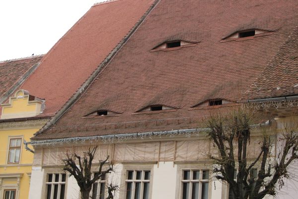 Houses with eyes.