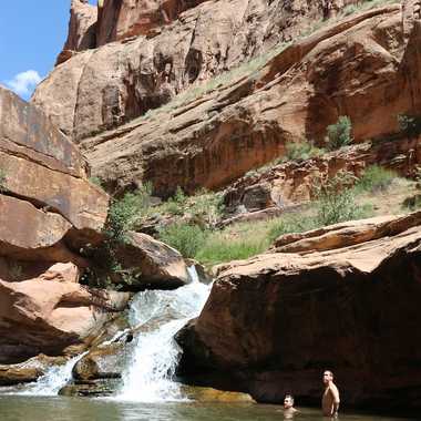Swimmers in Mill Creek. 