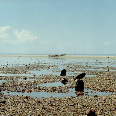 An exposed moment for Billingsgate Island.