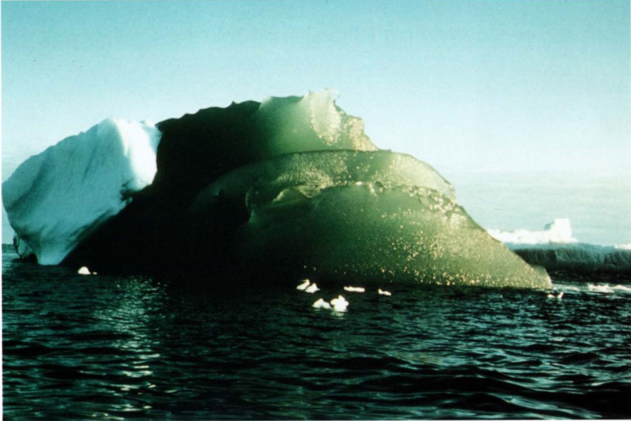 A green iceberg looking a bit like pickle brine in the Weddell Sea, Antarctica, on February 16, 1985.