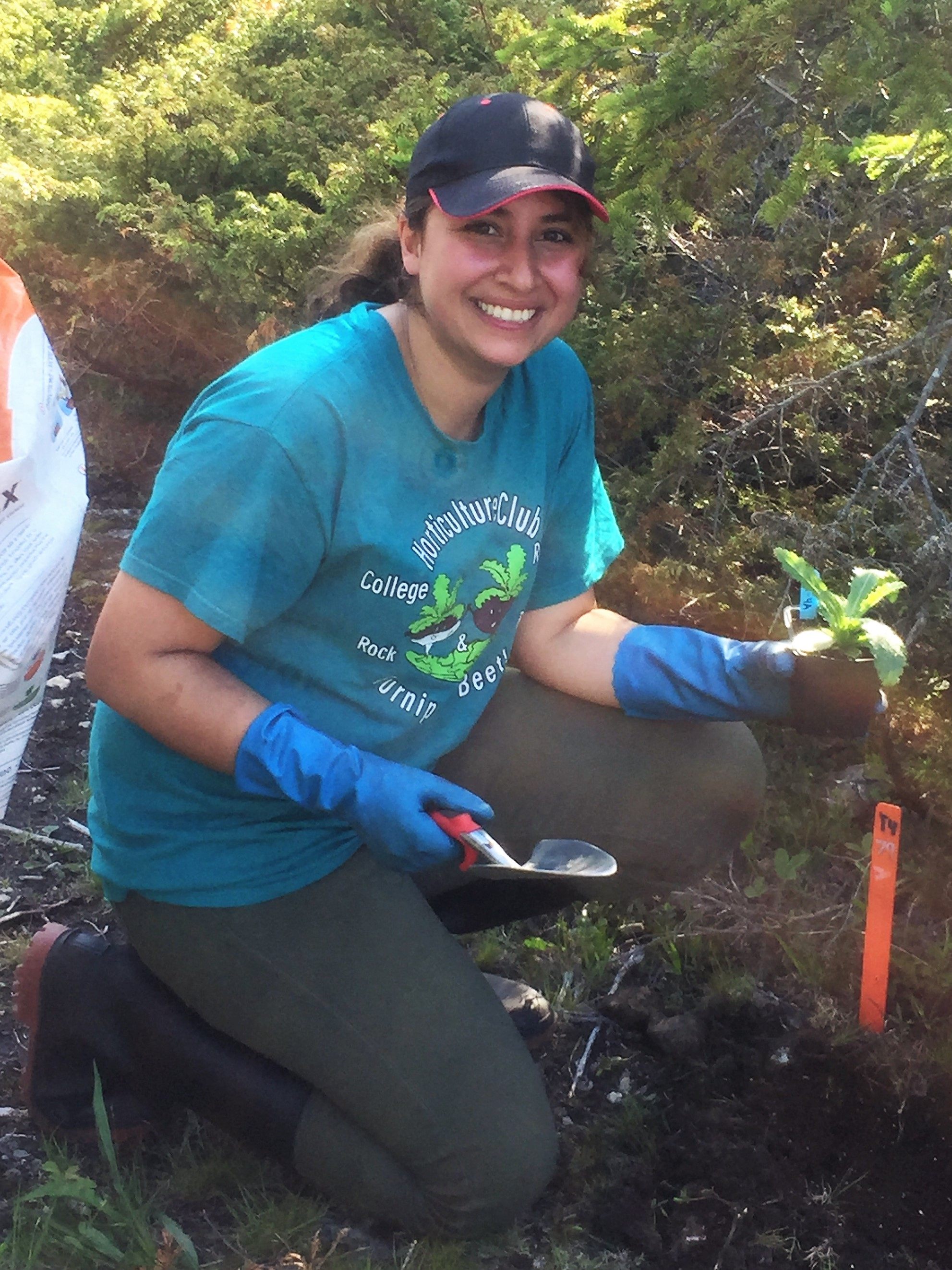 University of Guelph student Bita Sheikholeslami plants a Hill's Thistle in Bruce Peninsula National Park. Sheikholeslami worked with Shukla to develop the Hill's Thistle protocols.