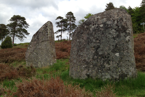 Notes from the Field: Swedish Gravestones & Being Hemmablind