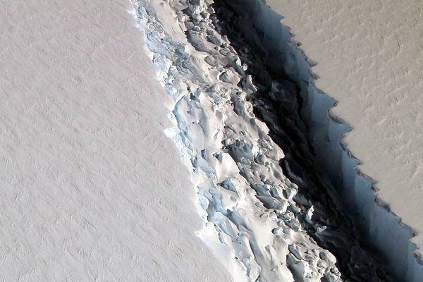 The rift in the Larsen C ice shelf.