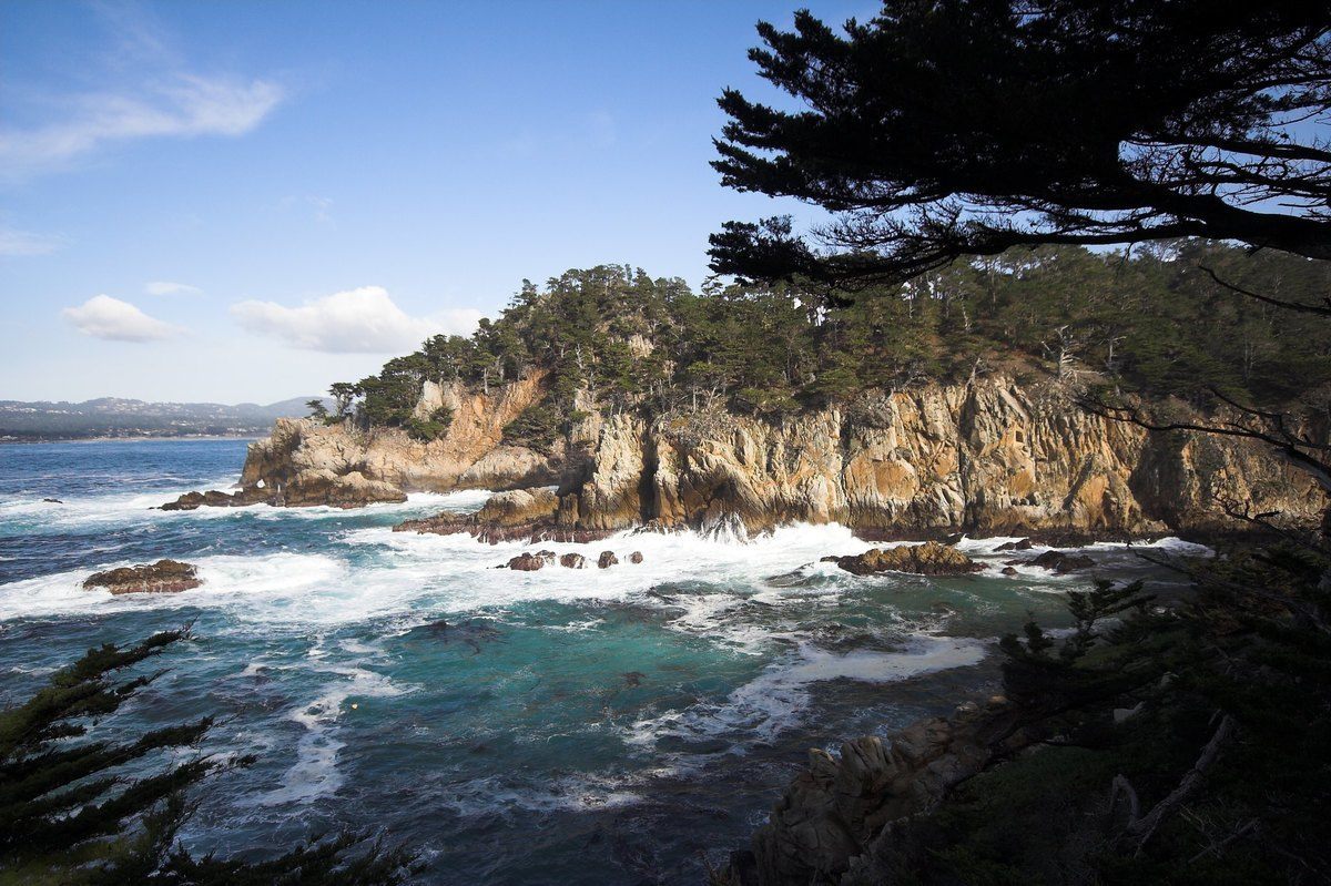Point Lobos, California.
