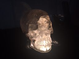 A crystal skull.