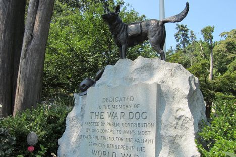 War Dog memorial