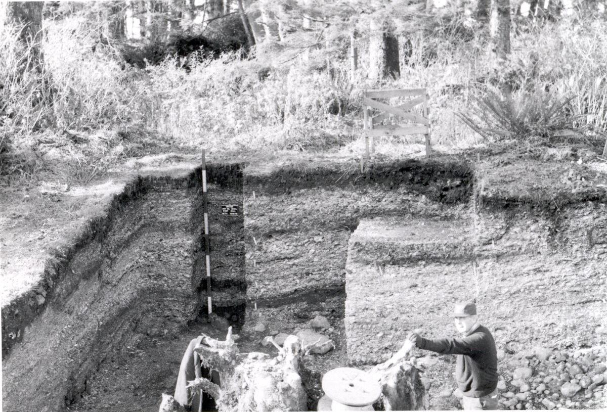 The excavations at Par-Tee are still revealing new finds, nearly 50 years since excavations began.