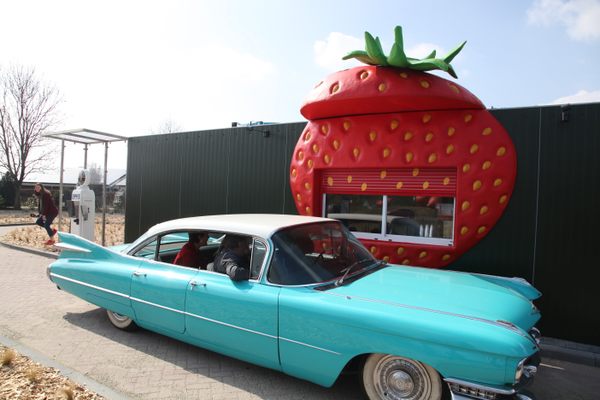 The Big Apple the world's biggest apple and bakery – Attractions Ontario