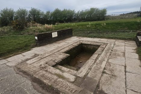 Brow Well