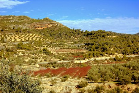 Serra del Montsant