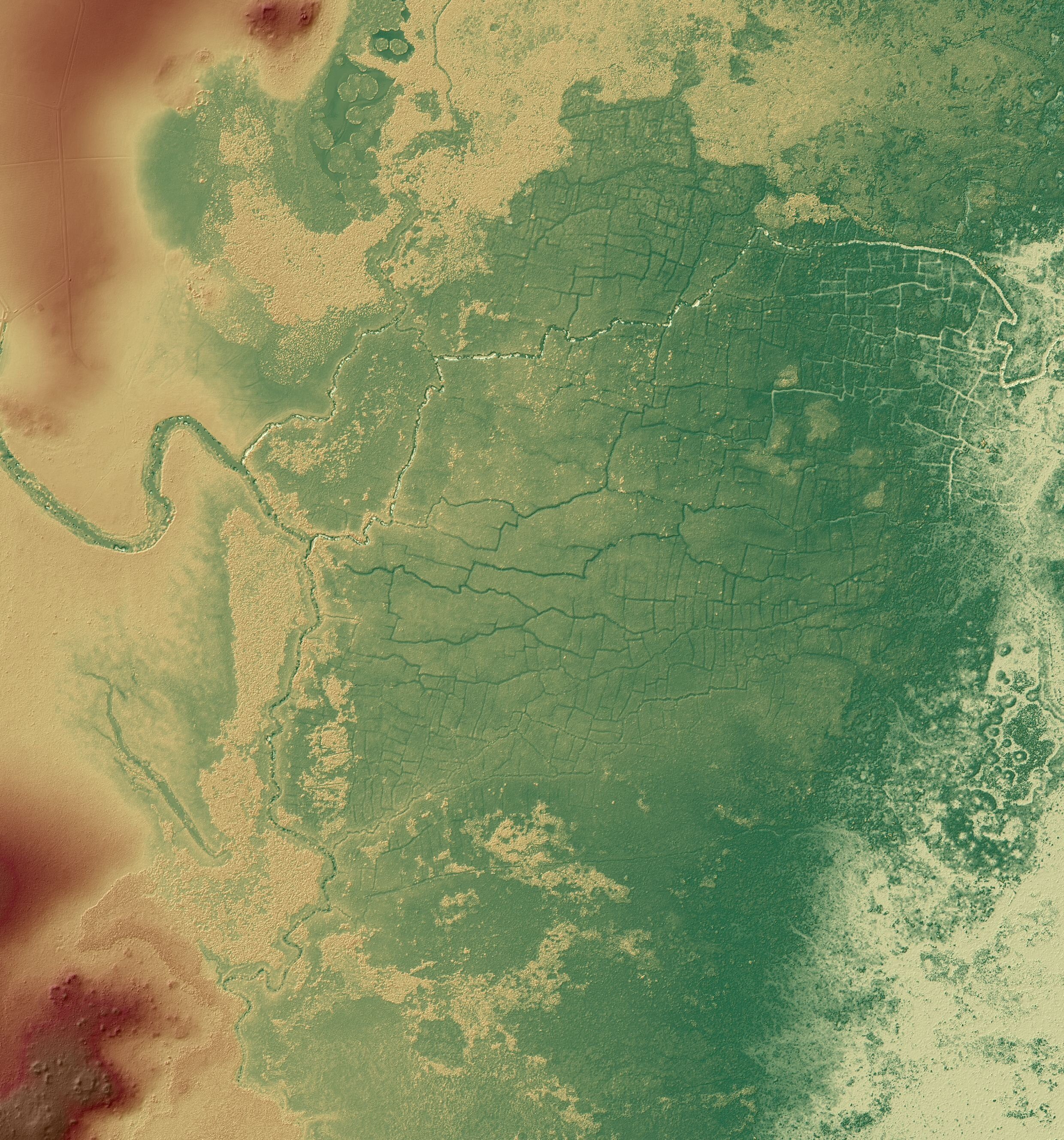 A lidar image of the Birds of Paradise complex, with vein-like canals running through much of the image.