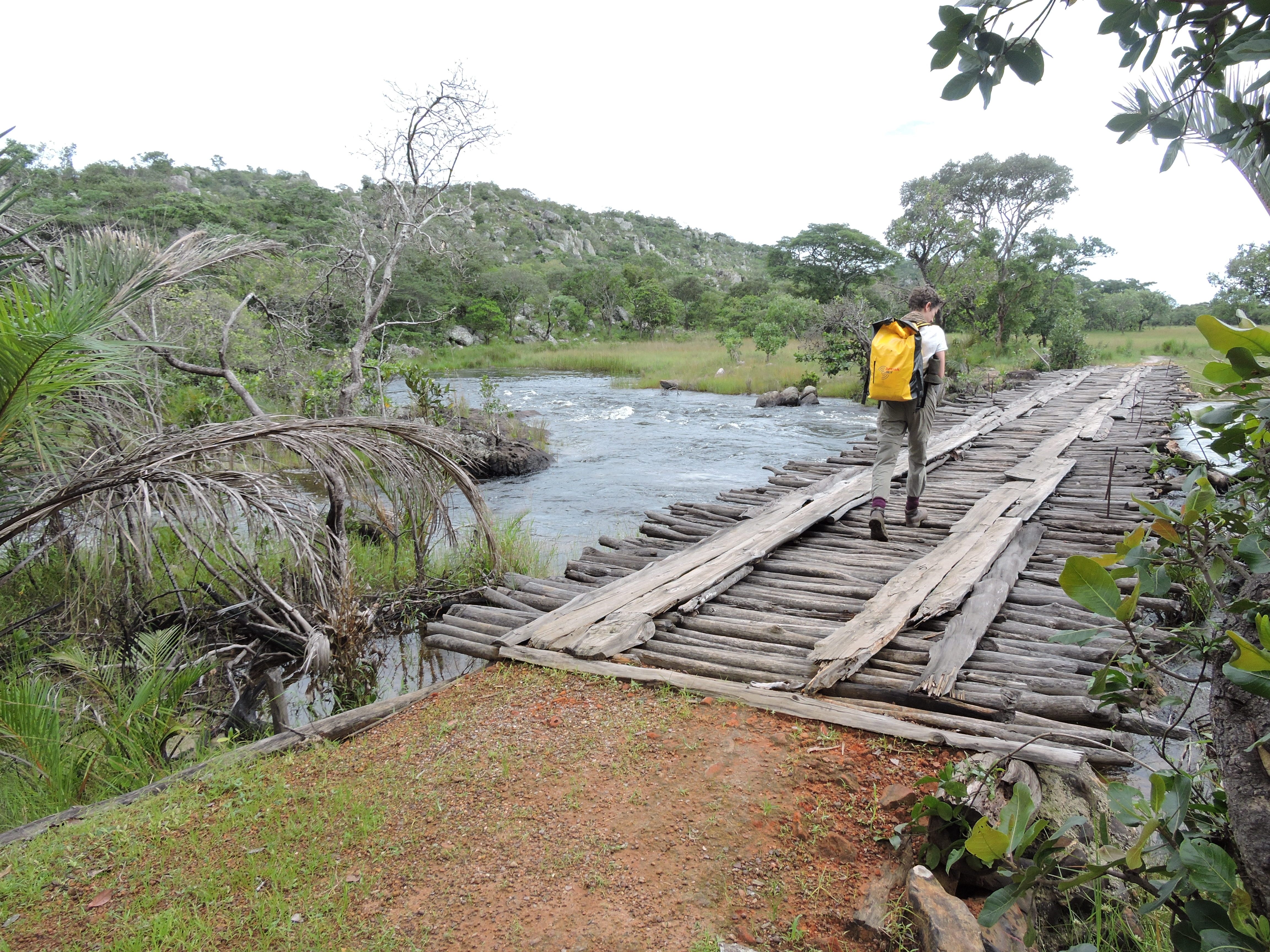 U.K. botanist Ruth Bone, Principal Investigator of the Darwin Initiative grant, hunts for wild orchids in the Zambian dambo.