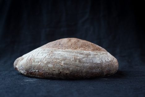 Scientists Need Your Sourdough to Solve a Microbial Mystery