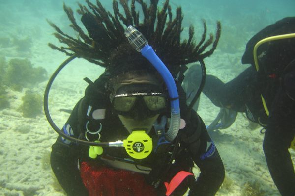 For decades, the nonprofit Diving With a Purpose has trained young Black men, women and teenagers in maritime archaeology methods.