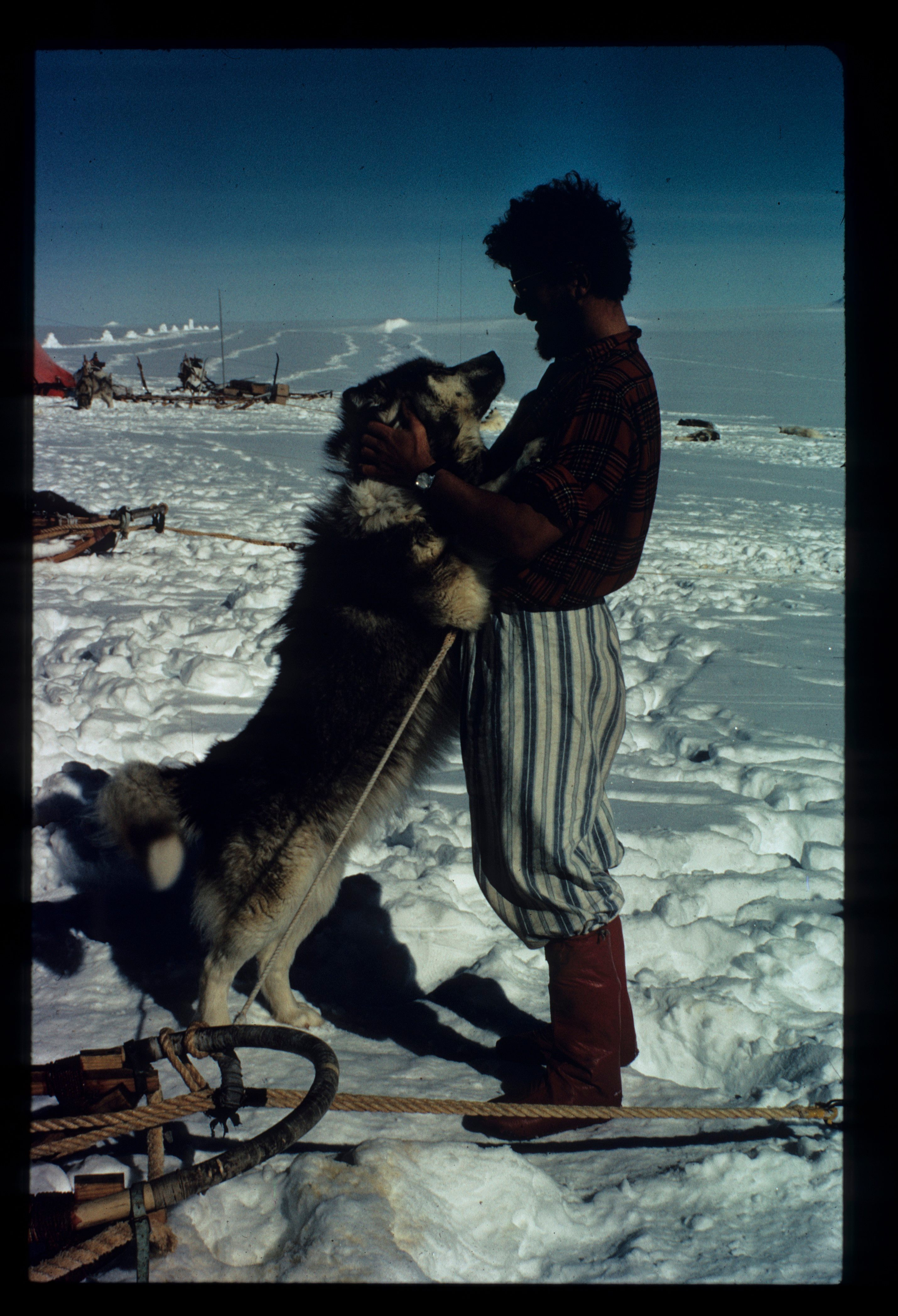 Though they were not pets, the dogs were often beloved by the men stationed at British bases in Antarctica. “Our lives depended on them and theirs depended on us,” said one.
