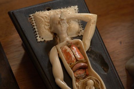A Close-Up Look at Rare 17th-Century Anatomical Manikins 