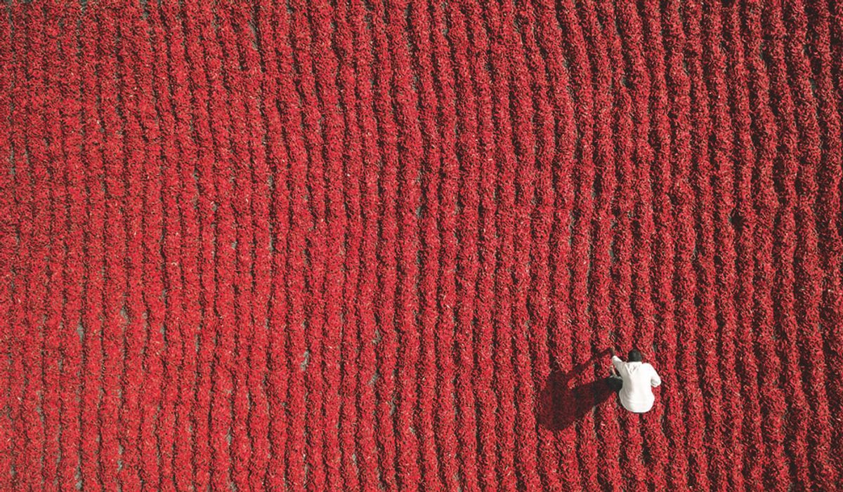 Guntur, India, by Aurobird. Latitude 16.3475, Longitude 80.3713, Altitude 26 1/2 ft.