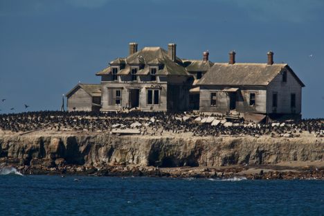 Abandoned house on Año Nuevo Island
