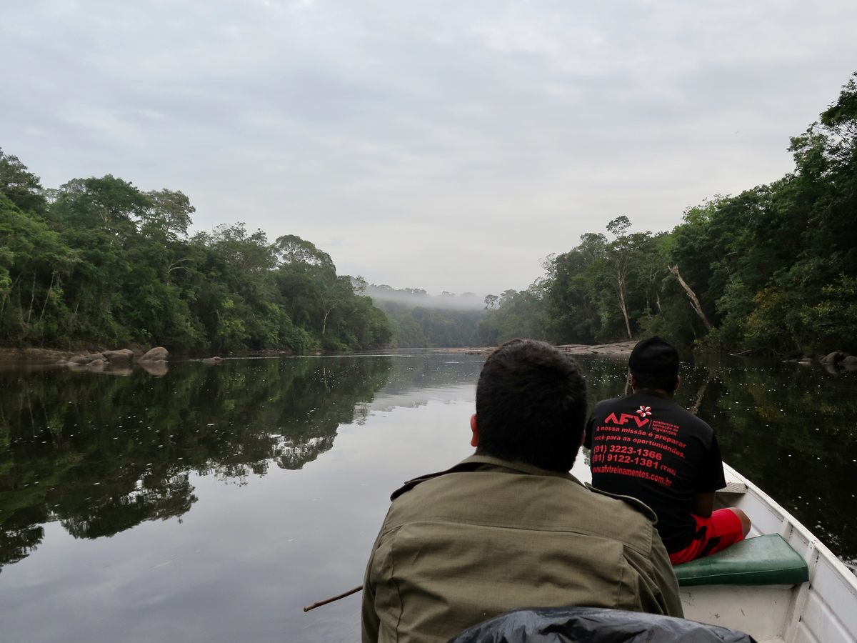 Mendes and his team search for electric eels in Brazil's Araguari River.