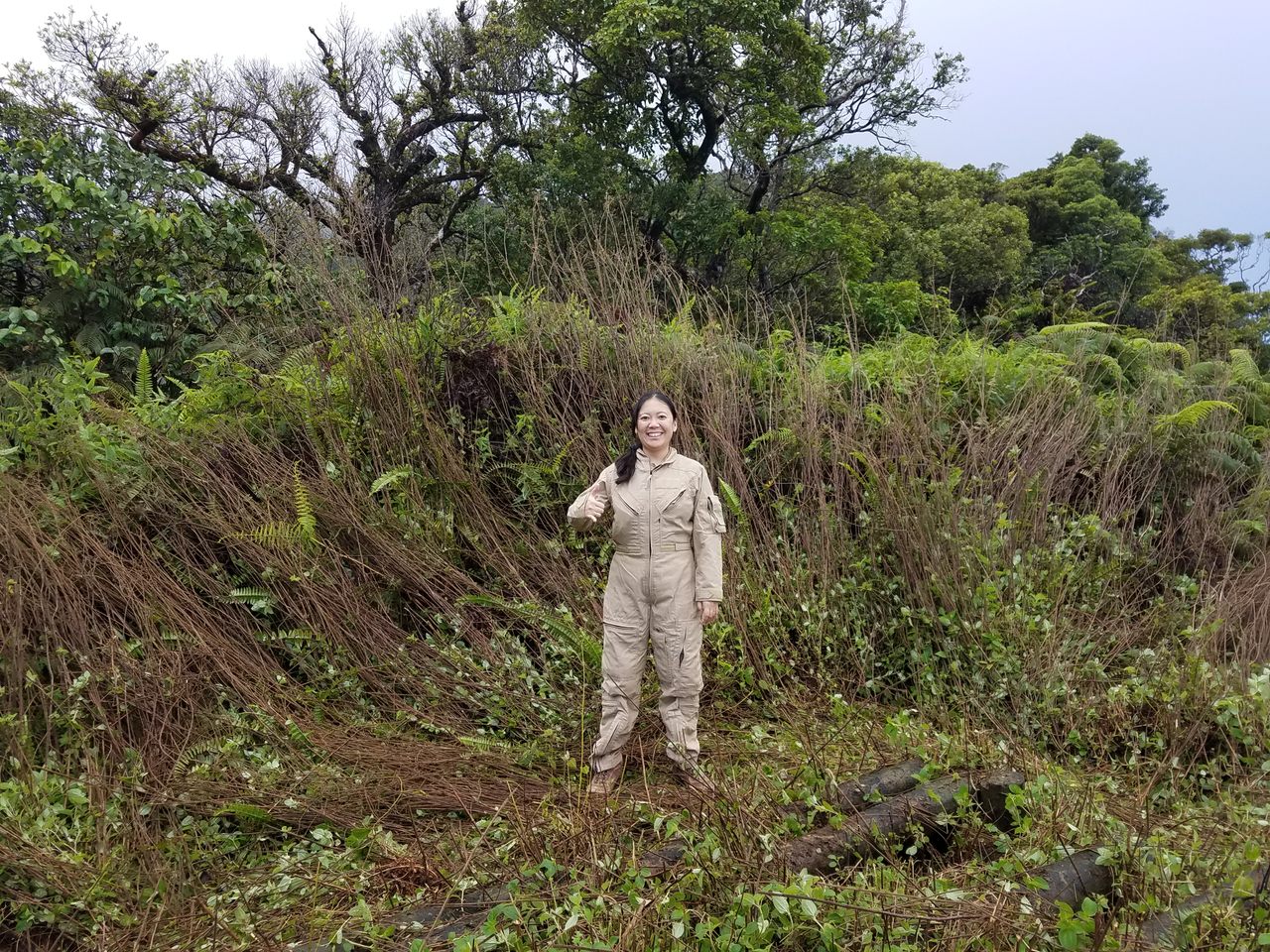 Snailer and malacologist Norine Yeung in a field of trampled uluhe.