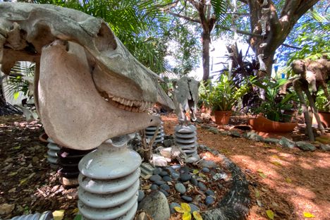Bonaire Botanical Garden