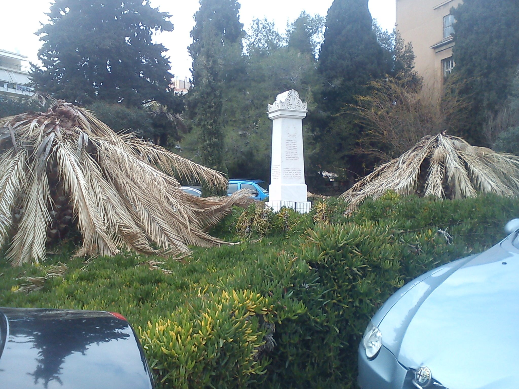 Dead palms in front of an Athenian hospital.