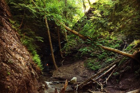 Eternal Flame Falls at Chestnut Ridge County Park 