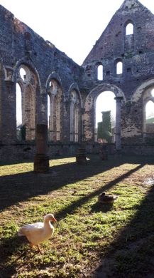 5 x Ruins of Villers Abbey Belgium VTES CCG Villars 