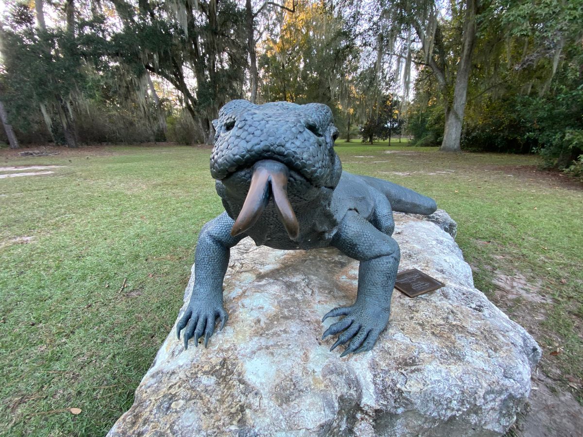 McCord Park's Komodo Dragon – Tallahassee, Florida - Atlas Obscura