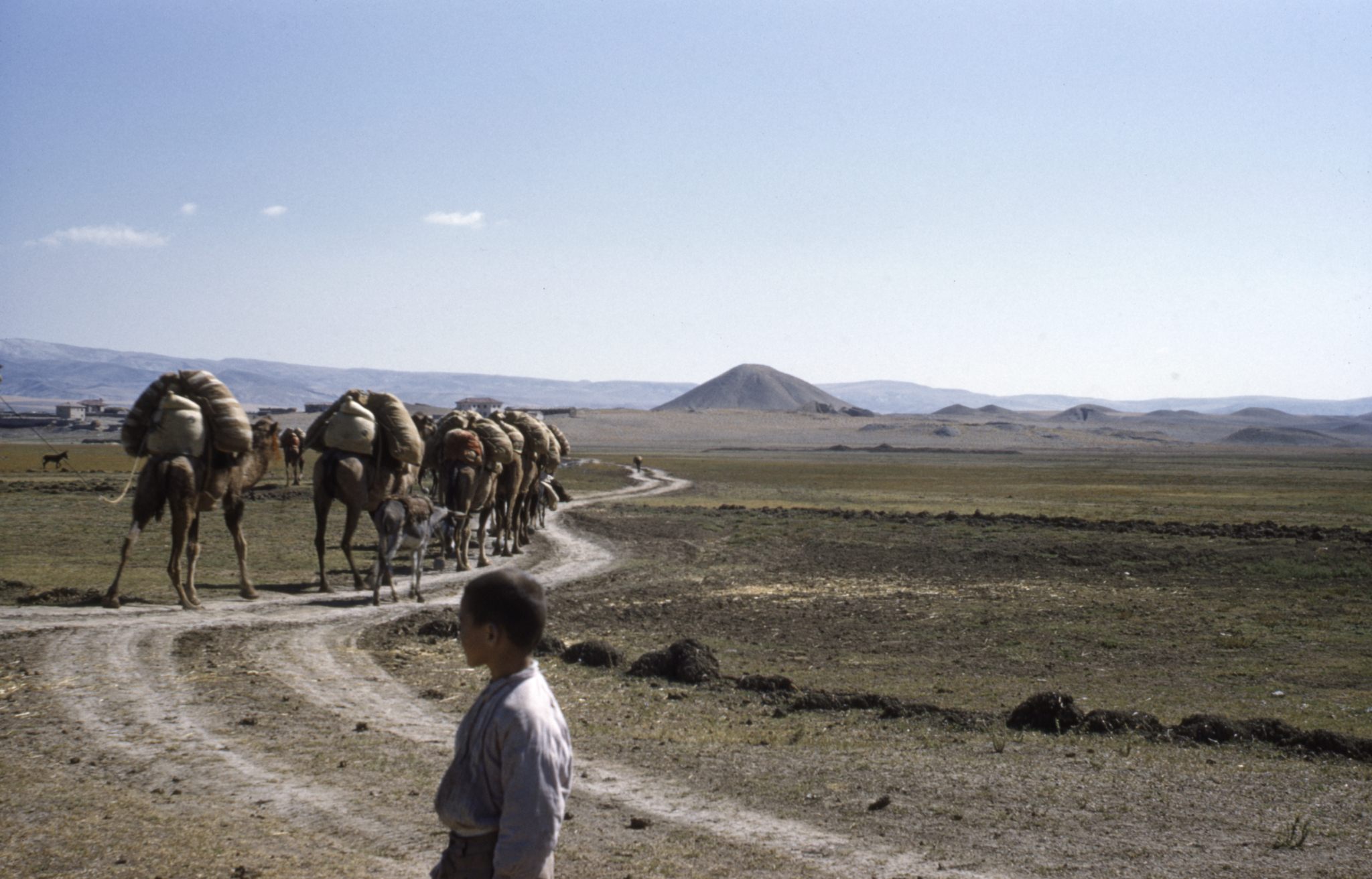 The tomb, visible in the distance.