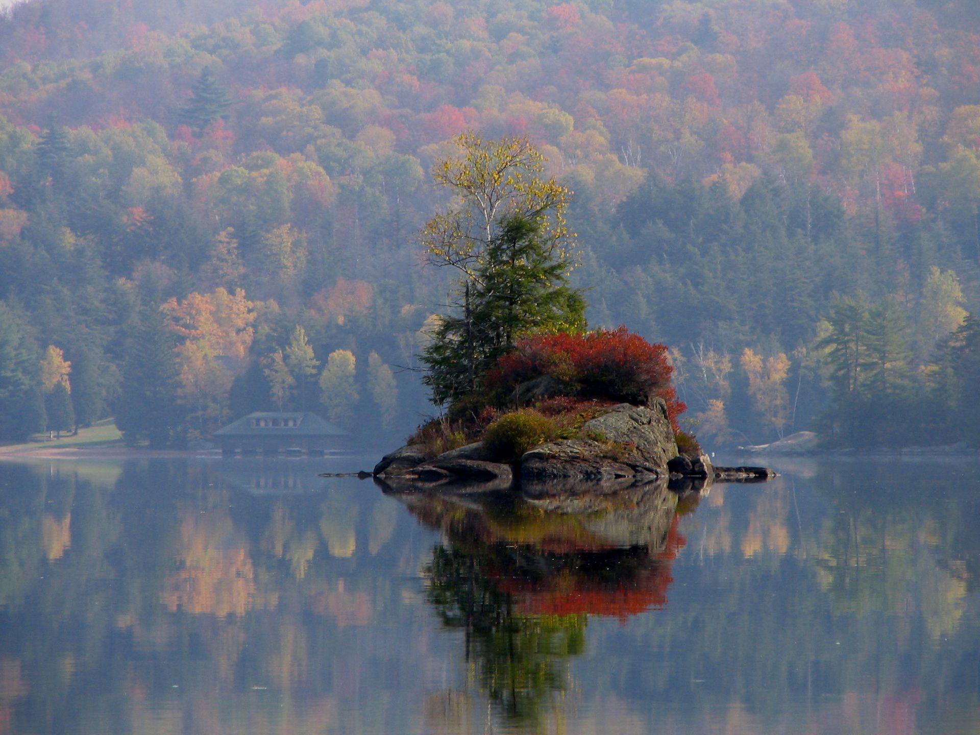 This small island in a lake in the Adirondacks passes the tree test.