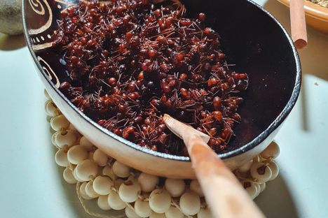 Maniwara ants are used in several Biatüwi dishes.