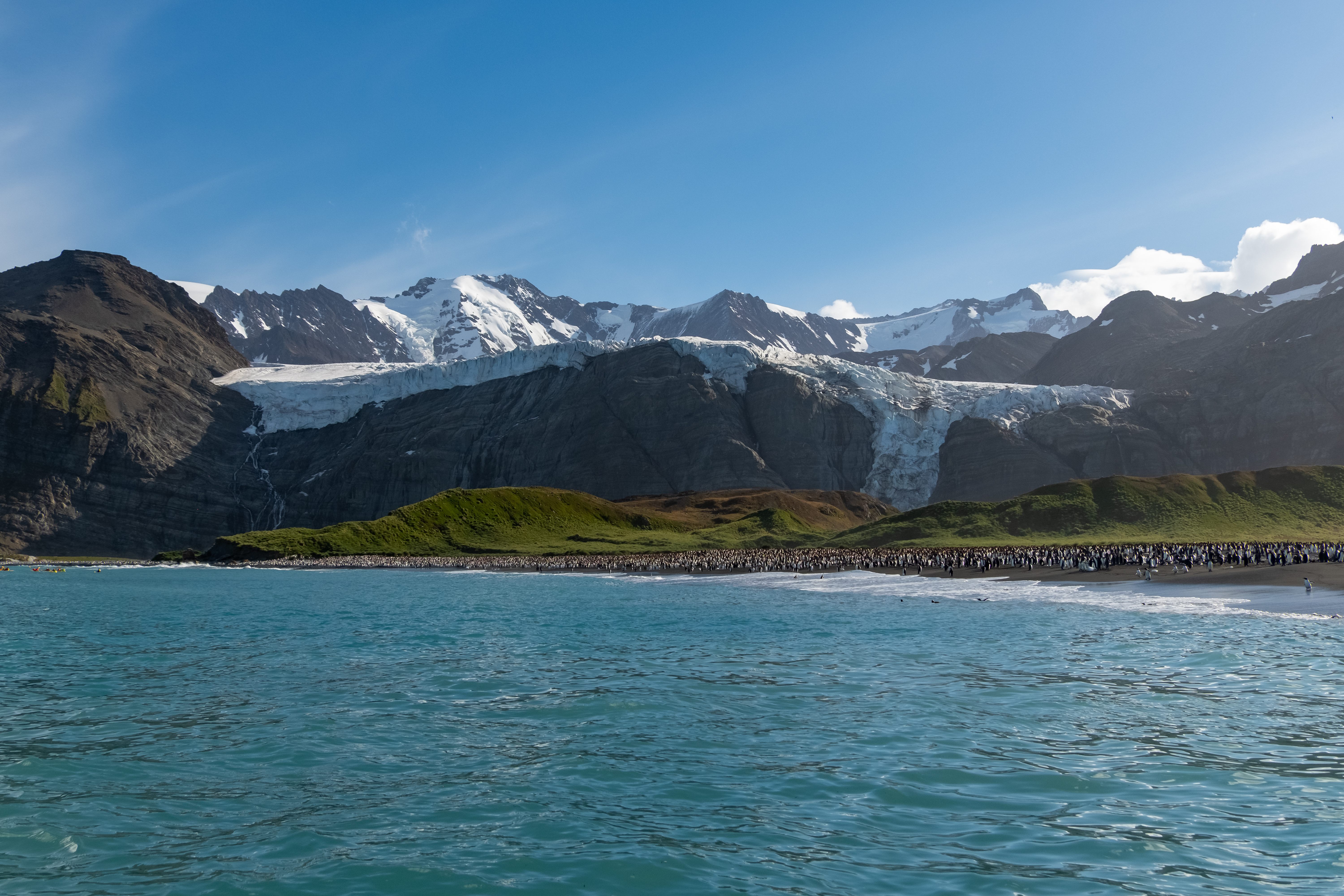 The Antarctic regions are home to the largest glaciers on the planet.