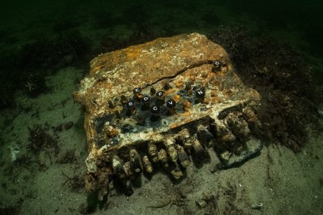 The machine, abandoned and claimed by nature at the bottom of the bay.