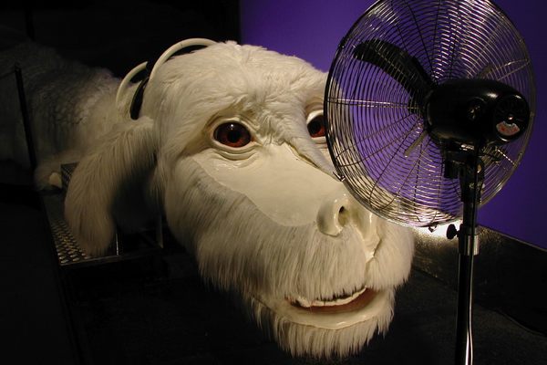 Falcor!