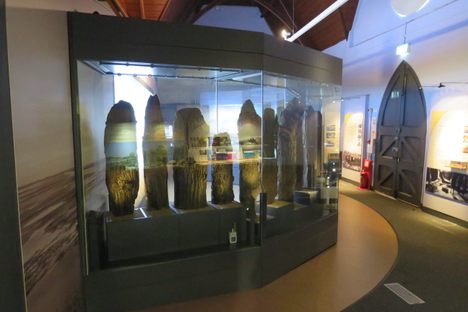 Timbers from Seahenge on display at the Lynn Museum.