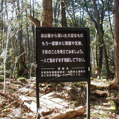 Aokigahara Forest