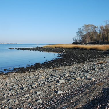 Charles Island