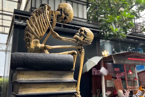 A skeleton on display contemplating its own mortality.