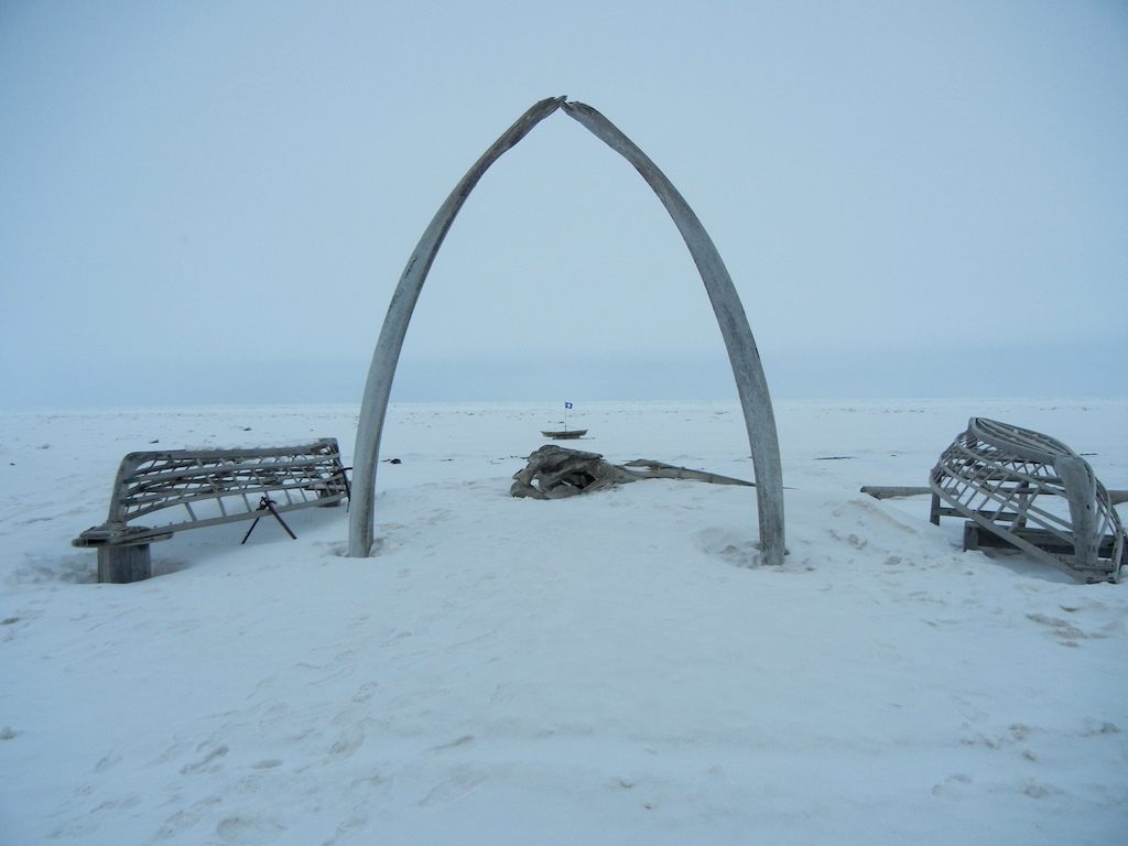 10 Places Where You Can See Whale Bones Outside a Museum - Atlas Obscura