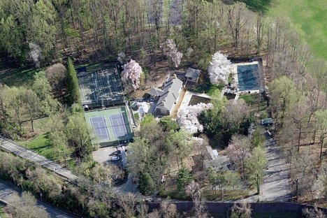 Cherry blossoms in bloom